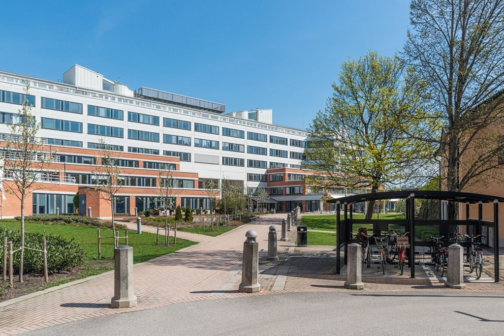 Härlig innergård med många bolag