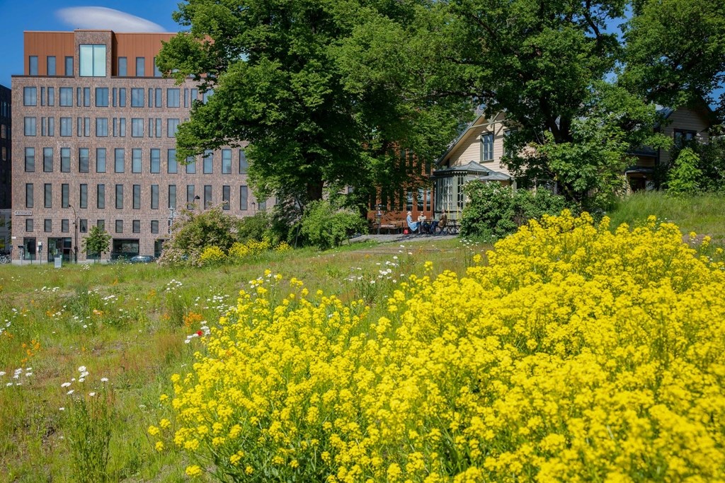 Dekorativ bild