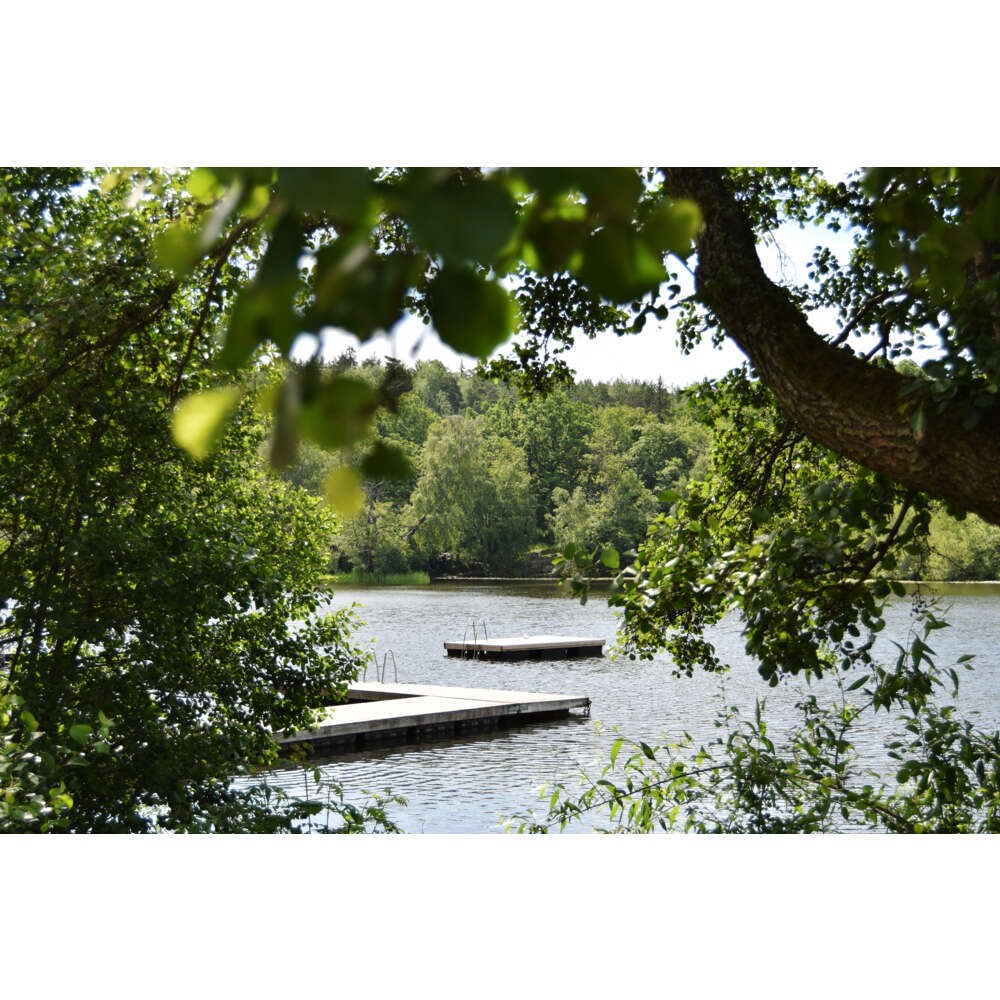 Lunchpromenader runt Sicklasjön